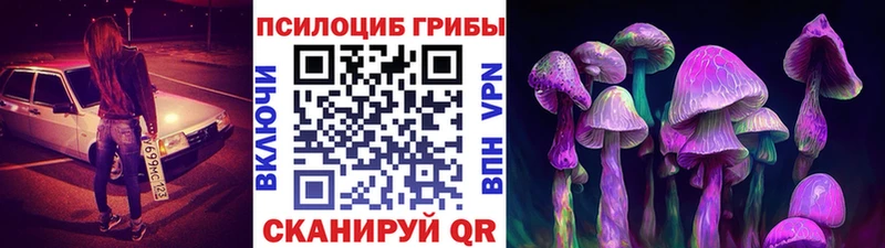 Галлюциногенные грибы прущие грибы Богородск