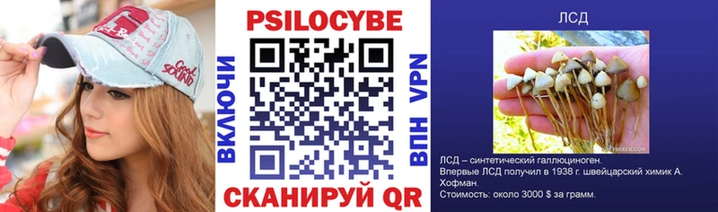 Галлюциногенные грибы Magic Shrooms  Купить закладки  Богородск 